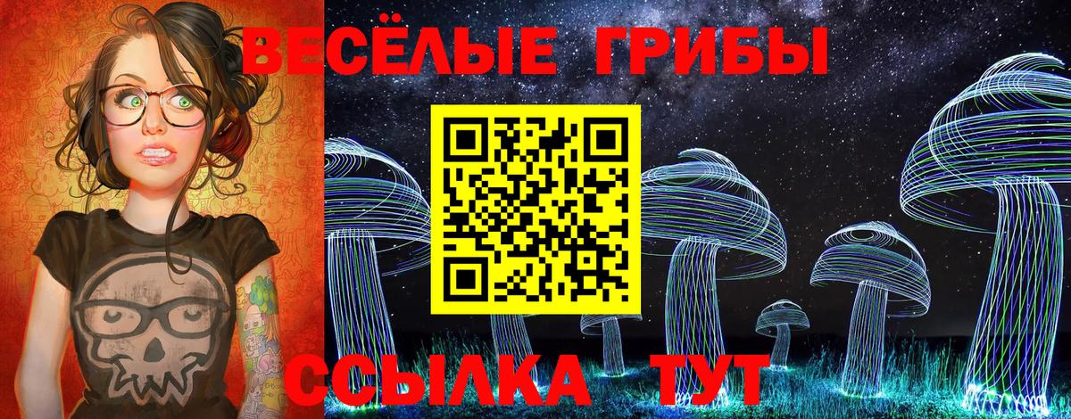 Псков  Галлюциногенные грибы Magic Shrooms  Вход с VPN 