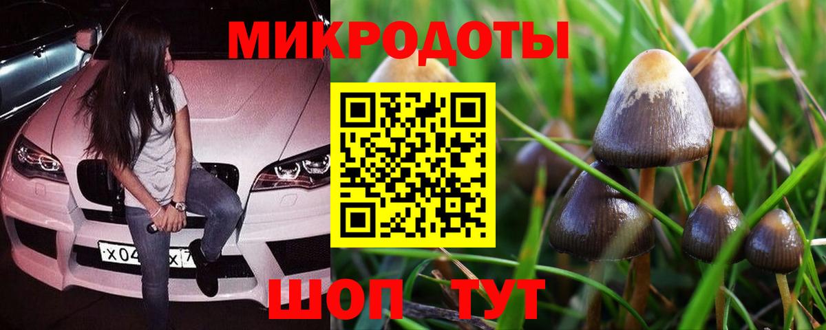 Галлюциногенные грибы Magic Shrooms Псков